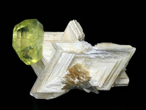 Mineral Collection brazilianite on muscovite