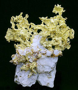 Mineral Collection Gold on Quartz
